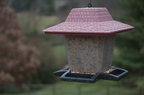 A 4-sided plastic bird feeder, with a clear body, a maroon roof, and a resting spot on each side for birds, hangs above a garden landscape