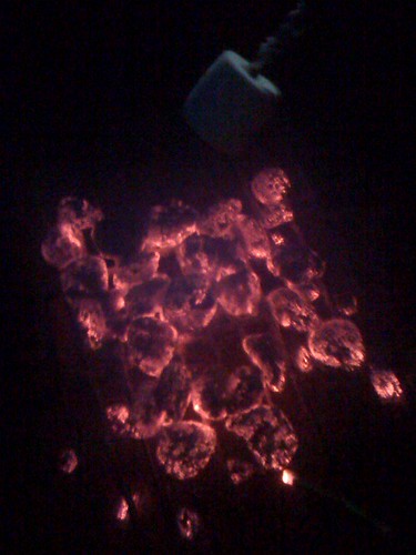 A dark photo of a bed of dim red coals, with a marshmallow on a stick hovering above them